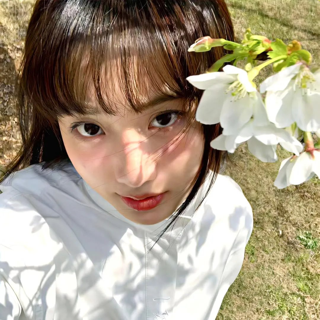 河曲马 封面