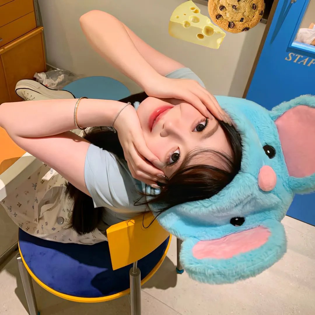 野兔邦妮 封面